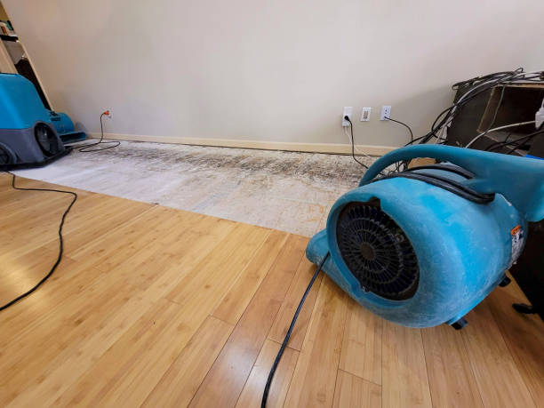 Professional Structural Drying technician working in Key Biscayne, FL